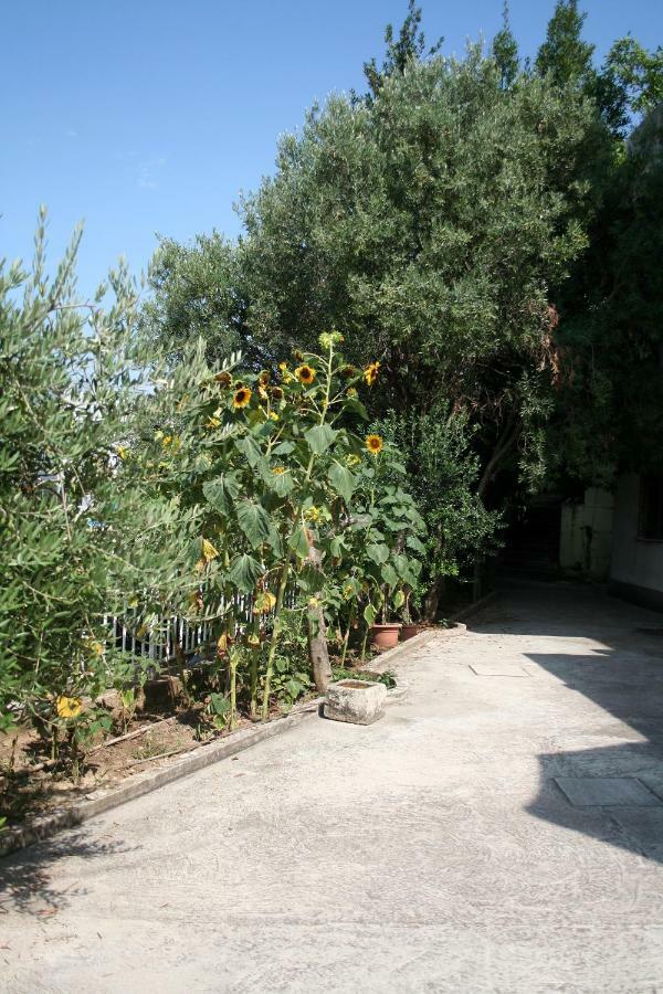 Sunflower Сплит Экстерьер фото